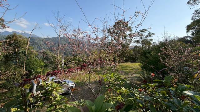 新竹北埔農地-6