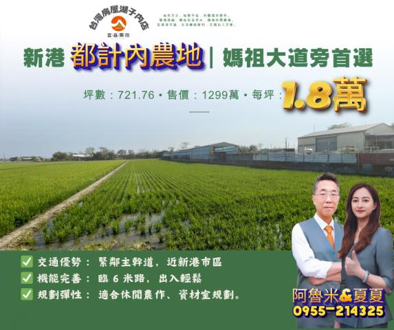 嘉義新港農地-1