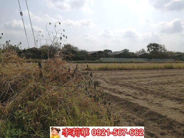 關廟農地-4