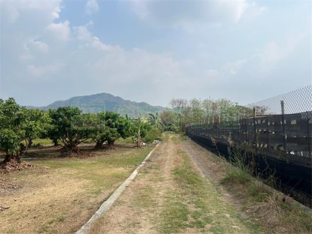 高雄美濃農地-2