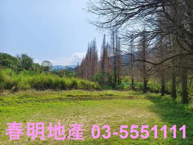 新竹橫山農地-1