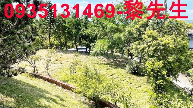 新竹新埔農地-3