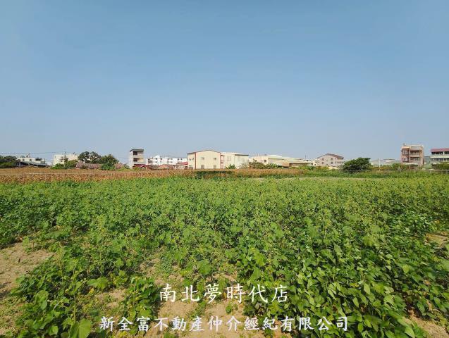 新營農地-5