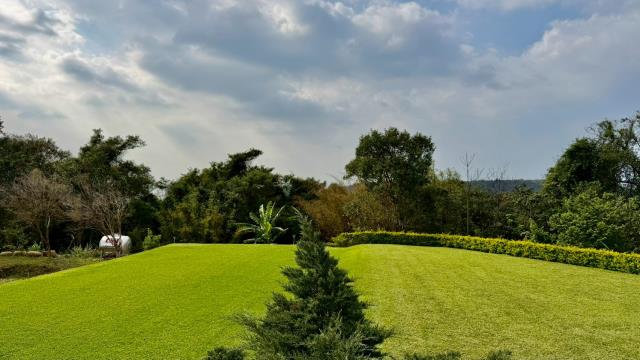 新竹關西農地-7