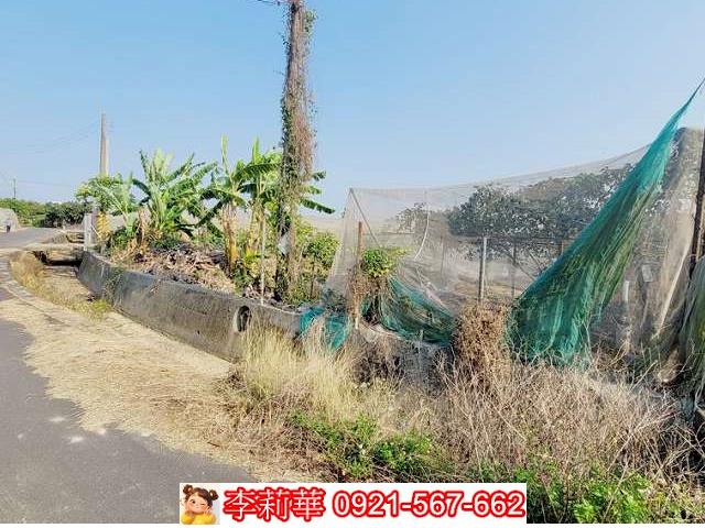 高雄燕巢農地-6