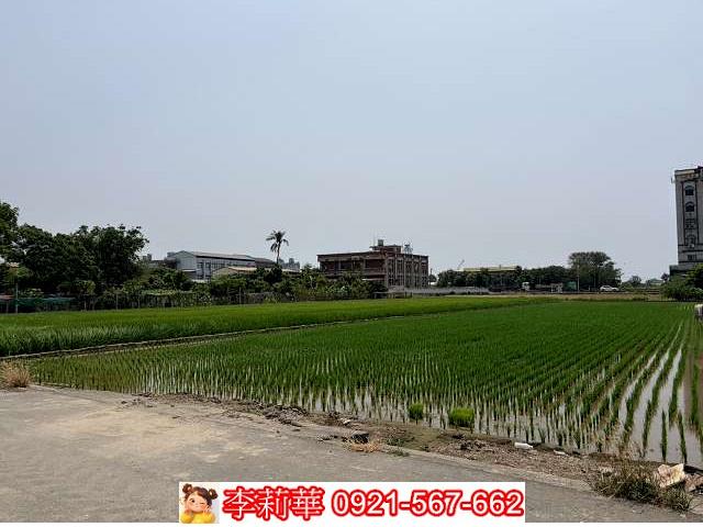 高雄林園農地-2