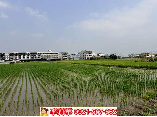 高雄林園農地-6