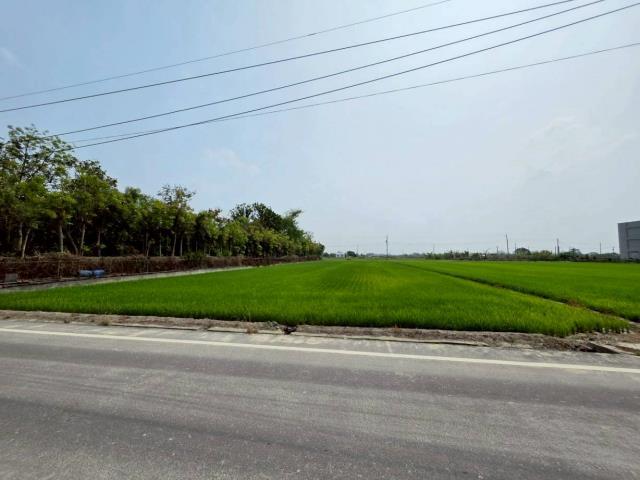 台南六甲農地-1