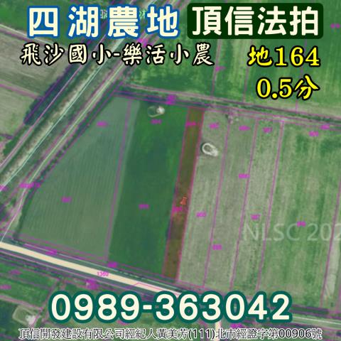 四湖農地法拍-4