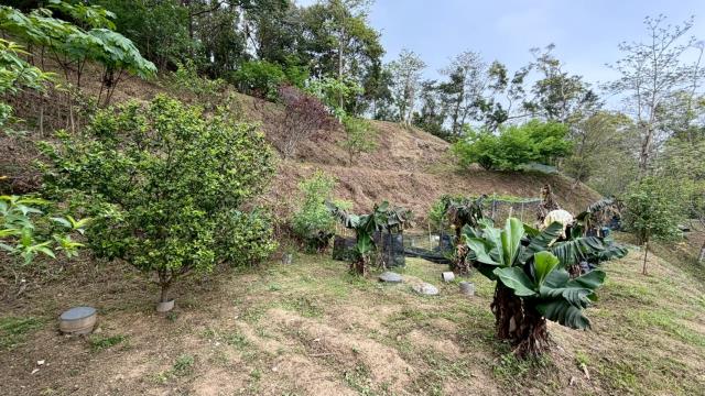 新竹北埔農地-5