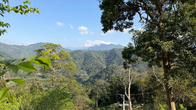 新竹北埔農地-12