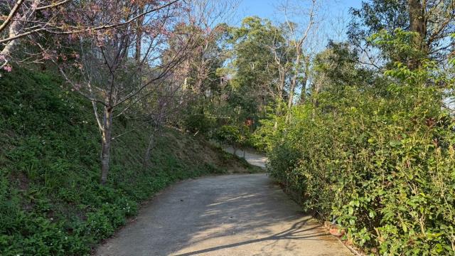 新竹北埔農地-13