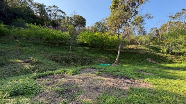 新竹北埔農地-4