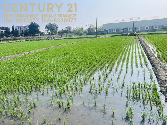 彰化埔鹽農地-4