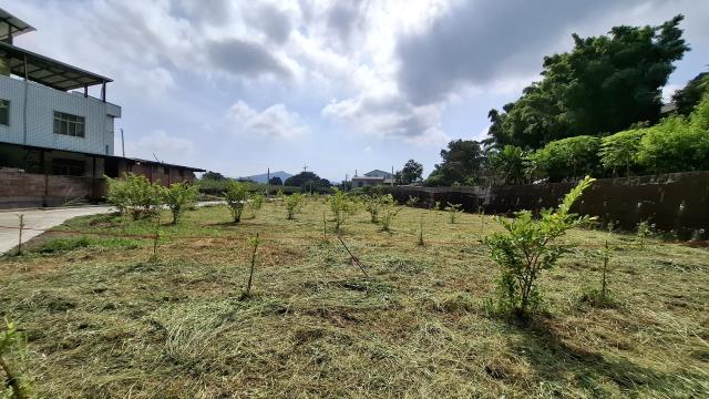 台中石岡農地-4