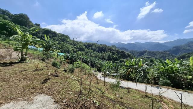 台中東勢農地-10