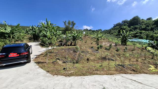 台中東勢農地-12