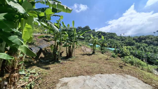 台中東勢農地-8