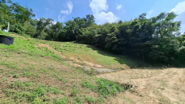 台中東勢農地-4