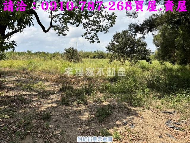 台南關廟農地-10