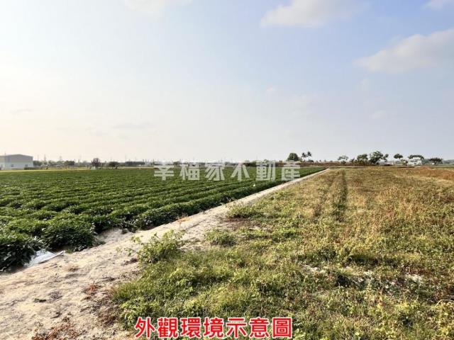 台南新化農地-7