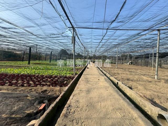 台南南區農地-14