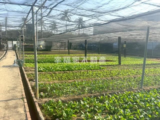 台南南區農地-4