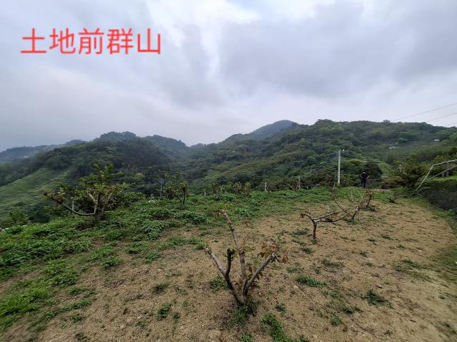 東勢農地-10