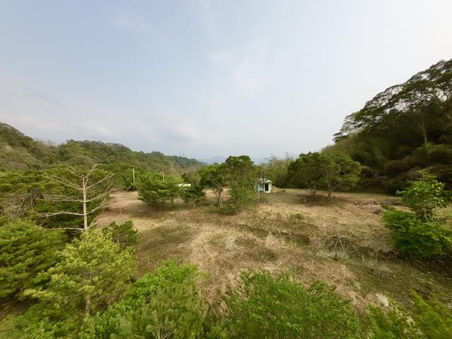 南投農地-11
