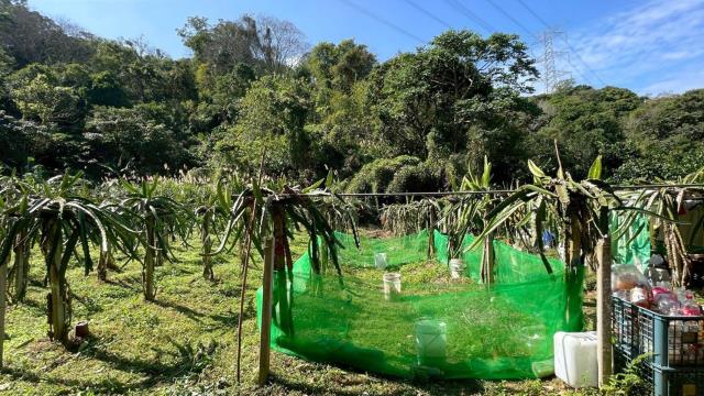 新竹峨眉農地-11