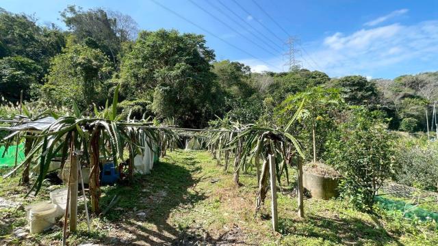 新竹峨眉農地-14