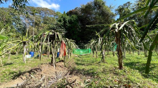 新竹峨眉農地-7