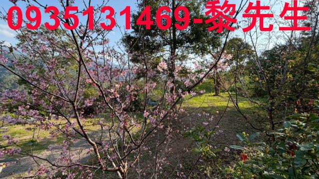 新竹北埔農地-11