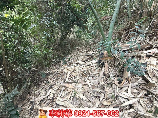 台南新化農地-11