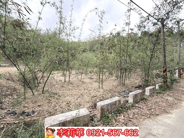 台南新化農地-7