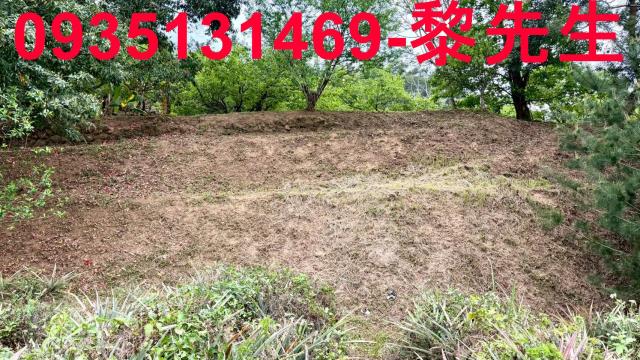 新竹北埔農地-1