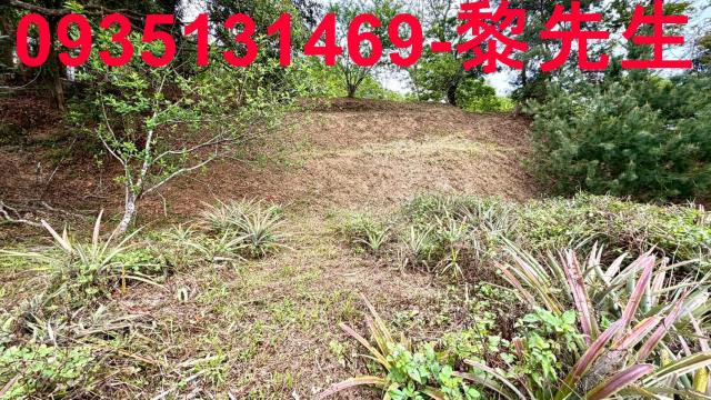 新竹北埔農地-14