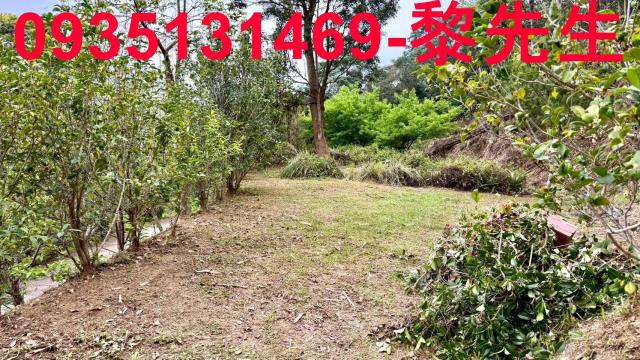 新竹北埔農地-15