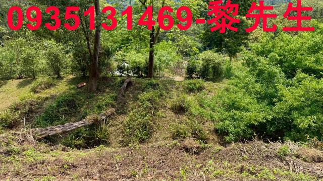 新竹北埔農地-7