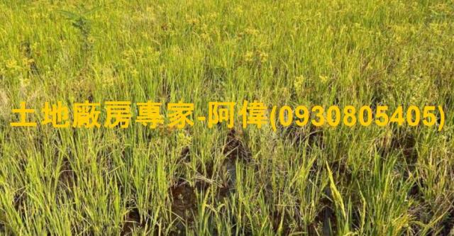 高雄農地-1