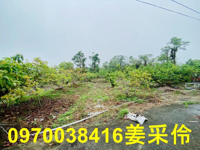 嘉義中埔農地-5