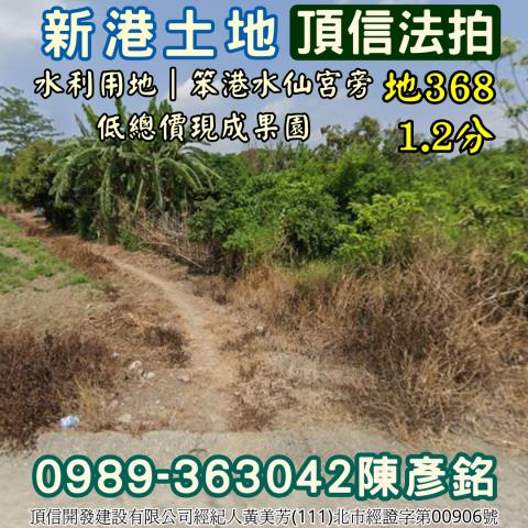 嘉義新港農地法拍-2