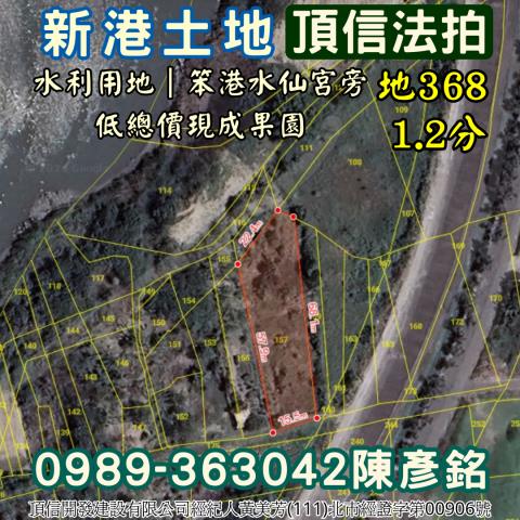 嘉義新港農地法拍-4