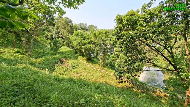 新竹峨眉農地-12