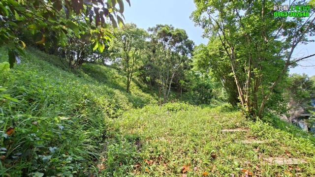 新竹峨眉農地-7