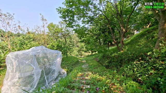 新竹峨眉農地-8