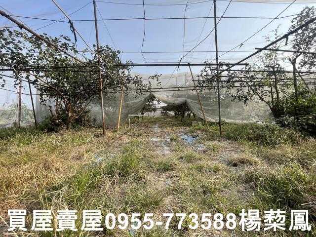 高雄燕巢農地-14