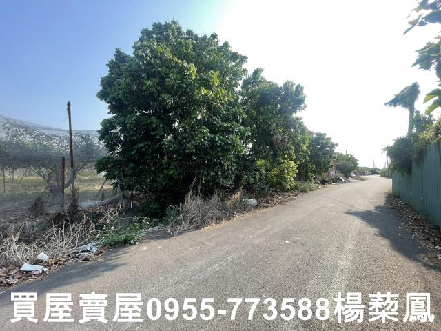 高雄燕巢農地-2