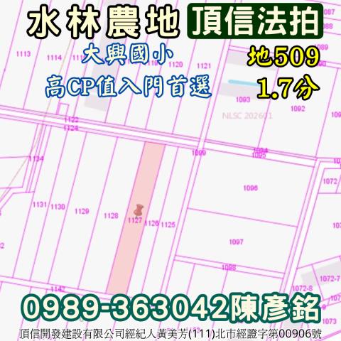 雲林水林農地拍賣-4