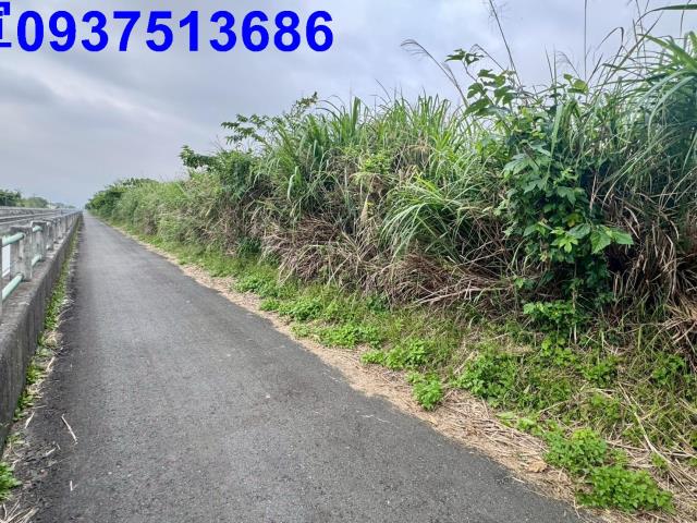 宜蘭壯圍農地-9